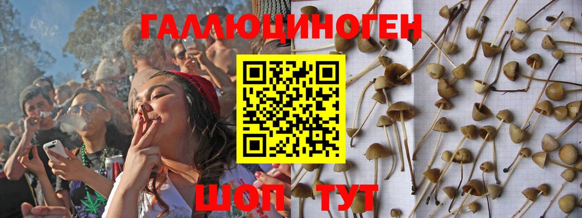 Псилоцибиновые грибы прущие грибы Чайковский